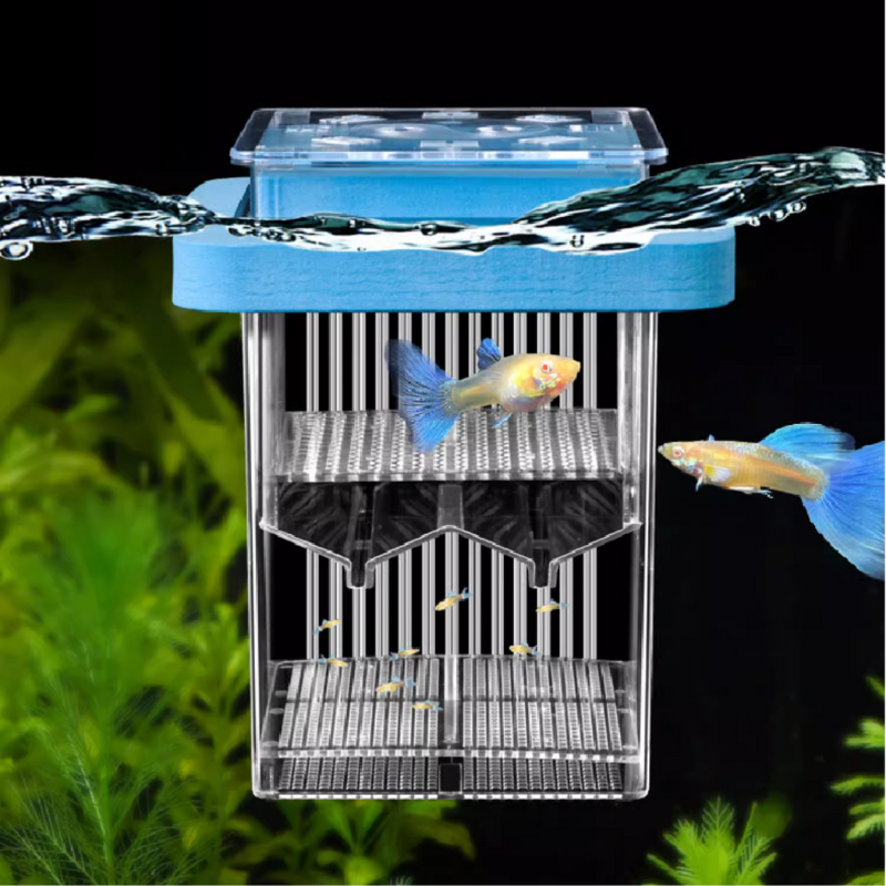 Guppy Breeding Float Tank 2.0