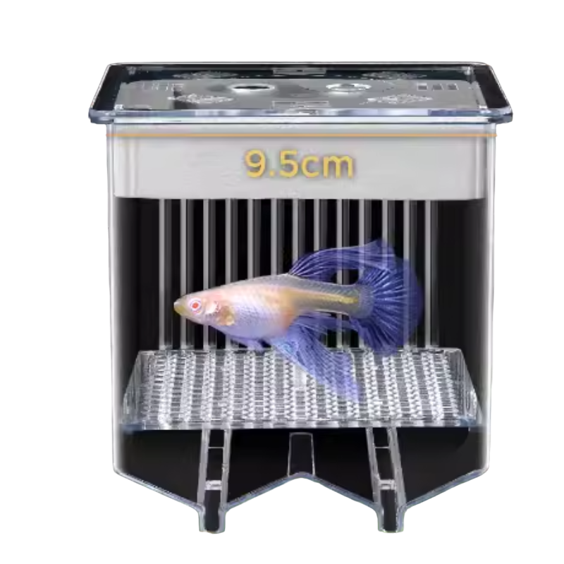 Guppy Breeding Float Tank 2.0