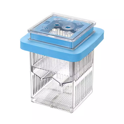 Guppy Breeding Float Tank 2.0
