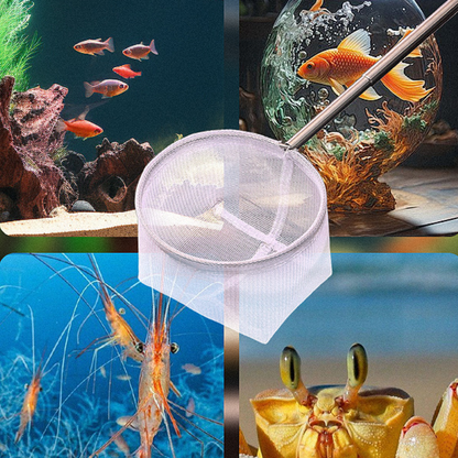 3D Aquarium Net