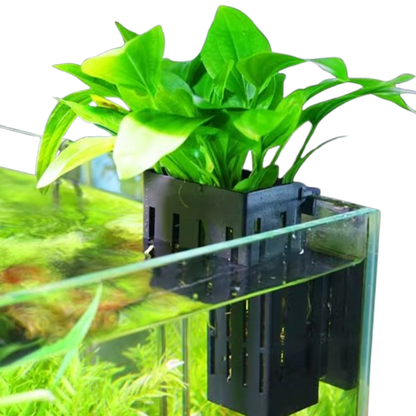 Aquarium Plant Holder