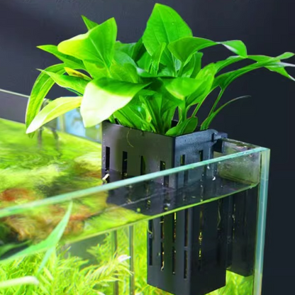 Aquarium Plant Holder