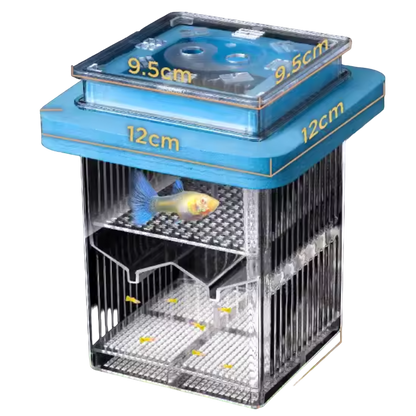 Guppy Breeding Float Tank – Fishtopia - Main Image