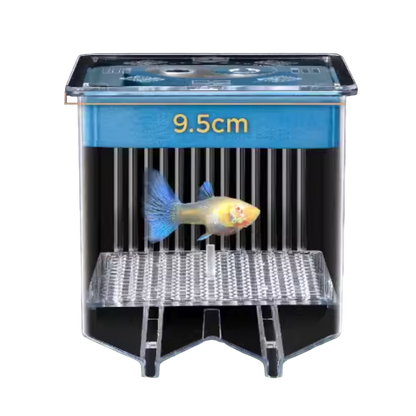 Guppy Breeding Float Tank 2.0
