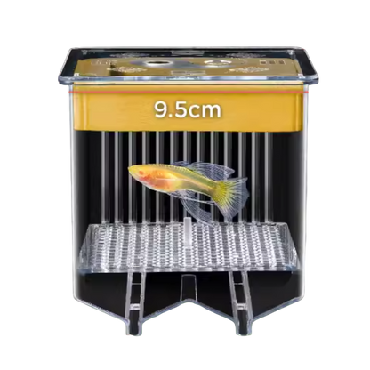 Guppy Breeding Float Tank 2.0