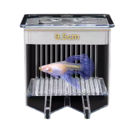 Guppy Breeding Float Tank 2.0