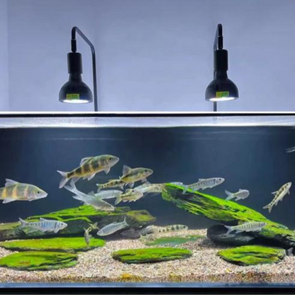 RGB Aquarium Lamp