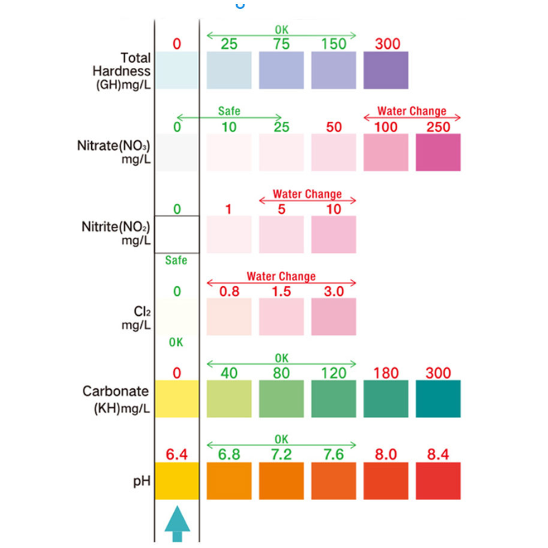 Water Test Strips