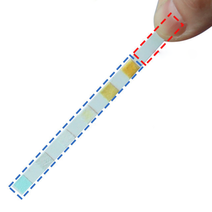 Water Test Strips